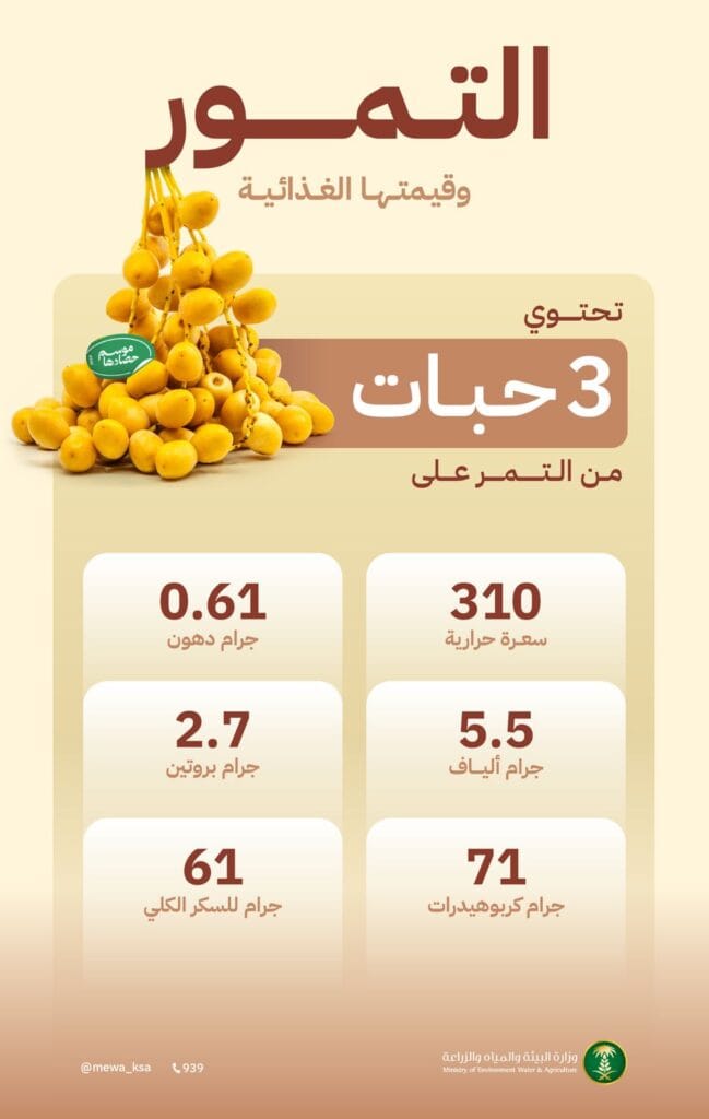 هل التمر يزيد الوزن؟ إجابات علمية لأشهر 10 أسئلة